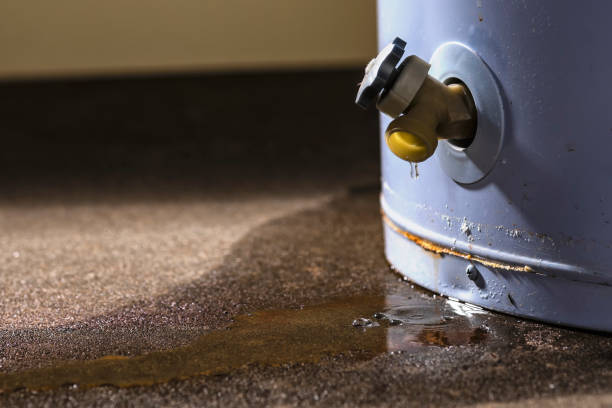 Best Mold removal after water damage  in Montgomery, IL