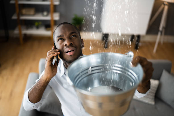 Trusted Montgomery, IL Water damage restoration Experts