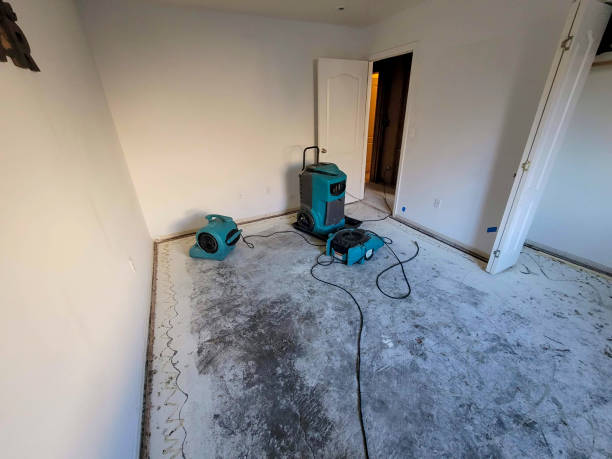 Best Local water damage restoration  in Montgomery, IL