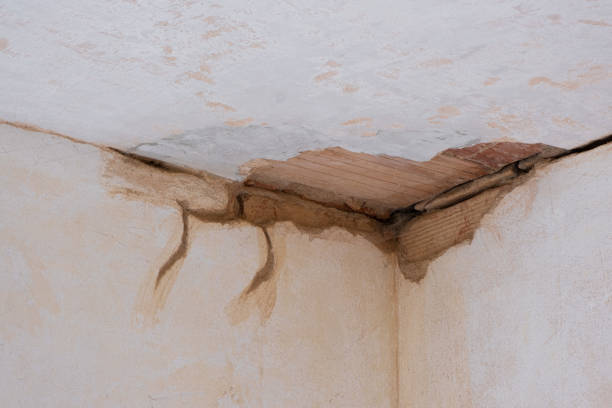 Best Flooded house restoration  in Montgomery, IL
