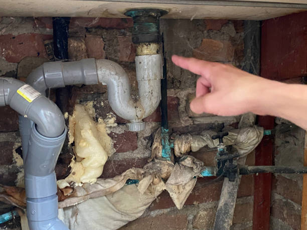 Best Basement water damage restoration  in Montgomery, IL