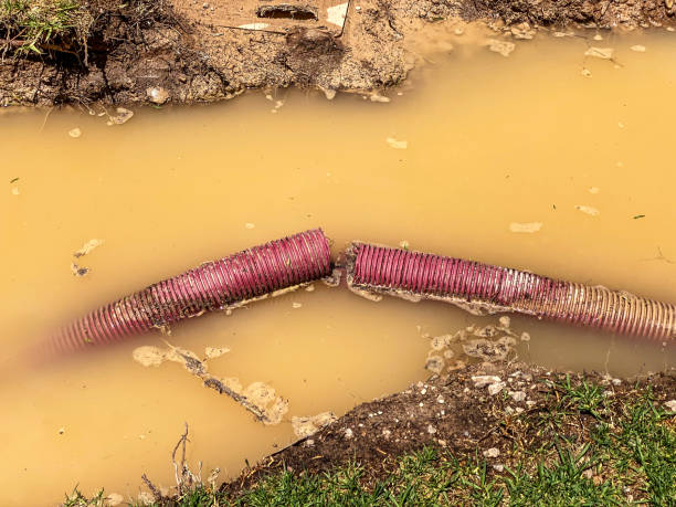 Best Water damage restoration experts  in Montgomery, IL